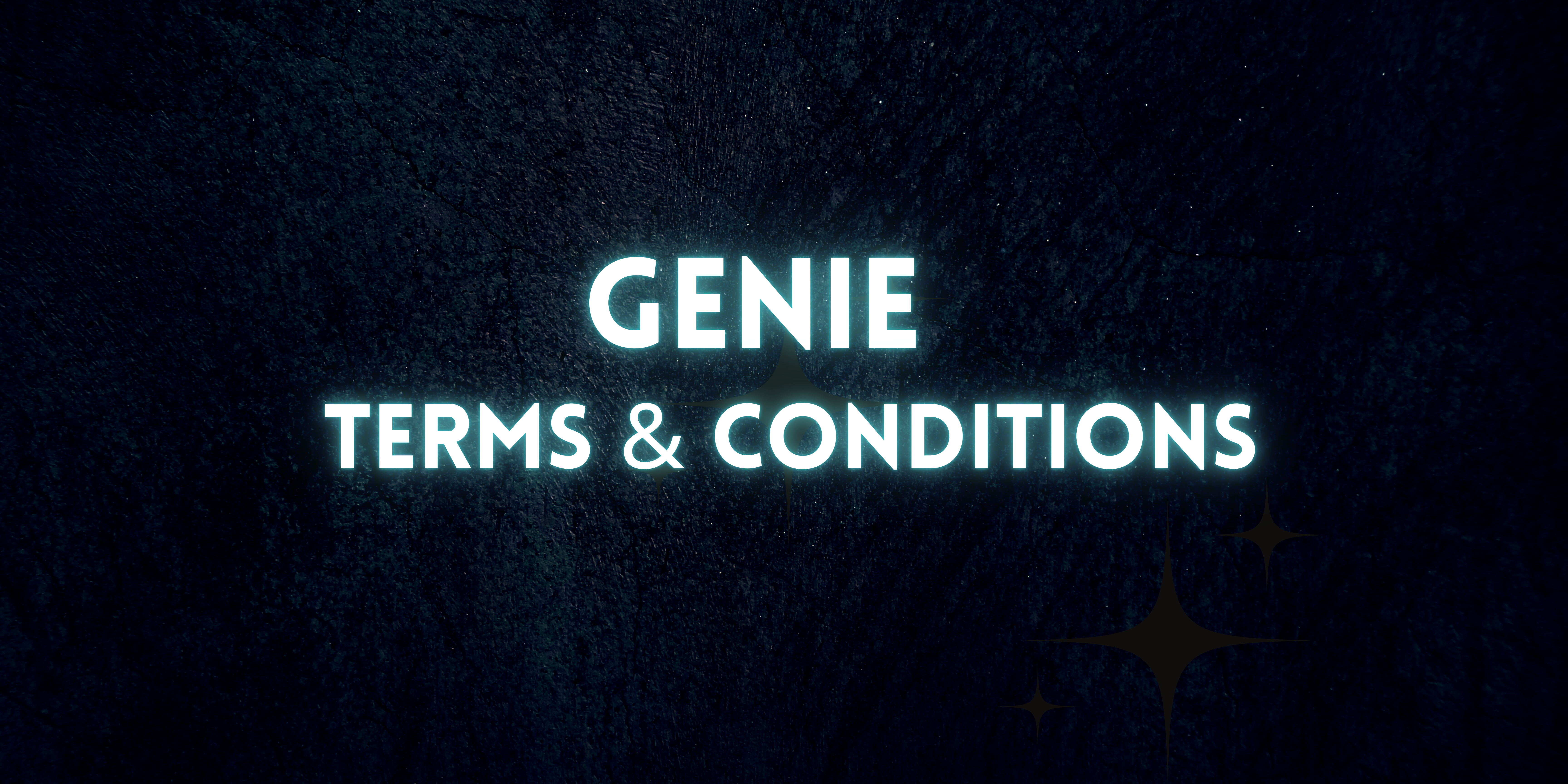 Genie Terms and Conditions